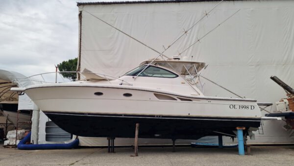 Tiara 42