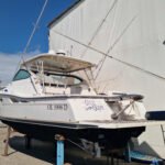 Tiara 42