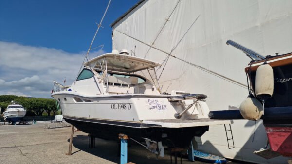 Tiara 42